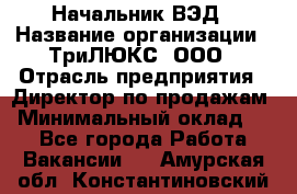 Начальник ВЭД › Название организации ­ ТриЛЮКС, ООО › Отрасль предприятия ­ Директор по продажам › Минимальный оклад ­ 1 - Все города Работа » Вакансии   . Амурская обл.,Константиновский р-н